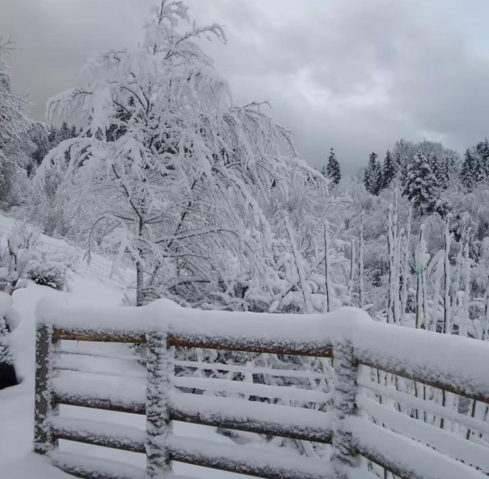 Gite La Bergerie Chalet Independant Kirchberg Экстерьер фото